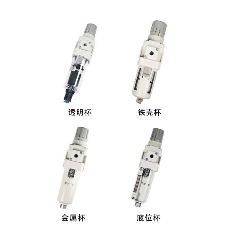 高精度帶逆流功能過濾減壓閥